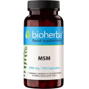 Bioherba MSM 560 mg [100 капсули]