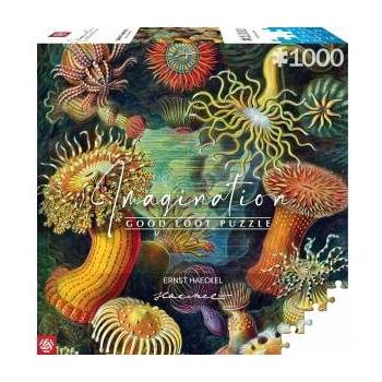 Good Loot Puzzle 1000 Ernst Haeckel: Sea Creatures