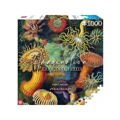 Good Loot Puzzle 1000 Ernst Haeckel: Sea Creatures