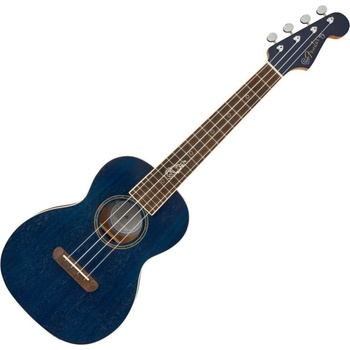 Fender Dhani Harrison