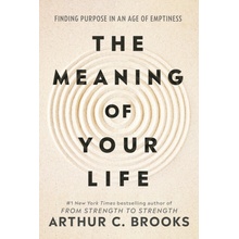 Meaning of Your Life - -