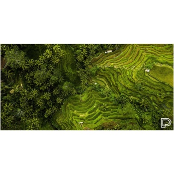 Towee rýchloschnúca osuška RICE FIELDS, 80 x 160 cm