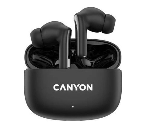 Canyon TWS-9