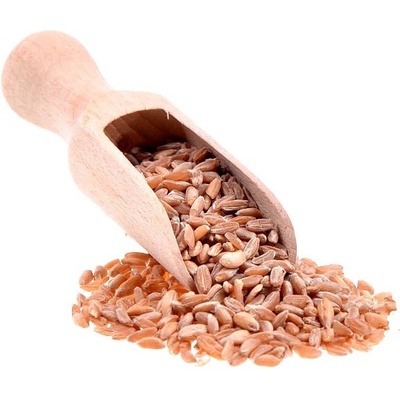 Aso Zdravý život Dvouzrnka Bio 25 kg
