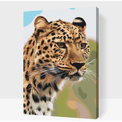 Vymalujsisam.cz Malování podle čísel Lovecký pohled leoparda Velikost 40 x 60 cm Rámování Na kartonové desce