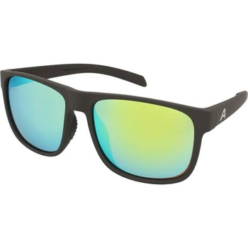 Alpina Слънчеви очила Alpina Nacan III Coffee Grey Matt