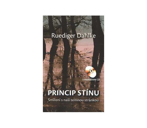 Princip stínu