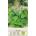 Seklos Органик Маточина Лимон Melissa officinalis