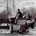 Pretzel Logic - Steely Dan CD