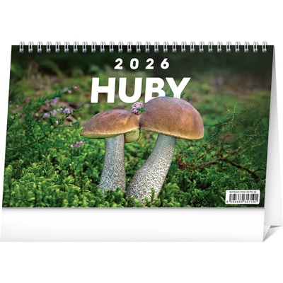 Huby Kolektiv 2026