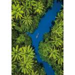 Clementoni - Puzzle Tropical bird's eye view - 500 piese