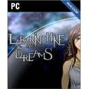 Labyrinthine Dreams