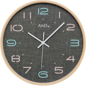 AMS 5513