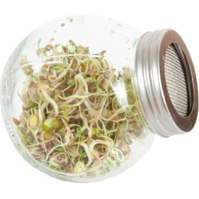 Bio klíčiace poháre Šalátový mix - Buzzy - Pieterpik - 1 ks