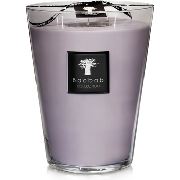 Baobab Collection All Seasons White Rhino Ароматна свещ 24 см (MAX24AWR)