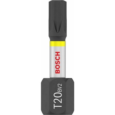Bosch T20 25 mm 25 ks 2607002805