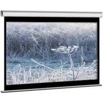 Elite Screens 149,6 x 265,7cm VMAX120XWH2