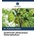Jackfrucht (Artocarpus Heterophyllus)