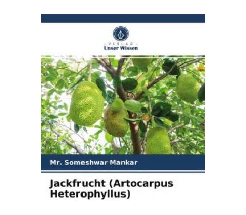 Jackfrucht (Artocarpus Heterophyllus)