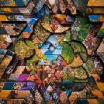 Miguel Atwood-Ferguson - Les Jardins Mystiques Vol. 1 (Limited Edition) (4 LP) (5054429173475)