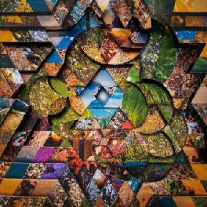 Miguel Atwood-Ferguson - Les Jardins Mystiques Vol. 1 (Limited Edition) (4 LP) (5054429173475)