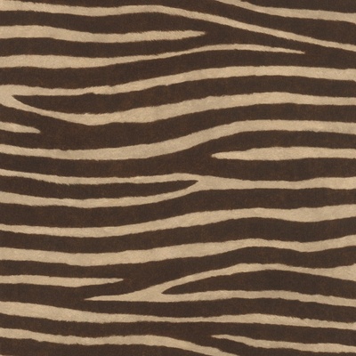 Rasch 751741 vliesová tapeta African Queen rozměry 0,53 x 10,05 m
