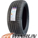 Winrun R330 205/55 R16 91V