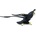 Safari Ltd Safari® Микрораптор динозавър (S304129)