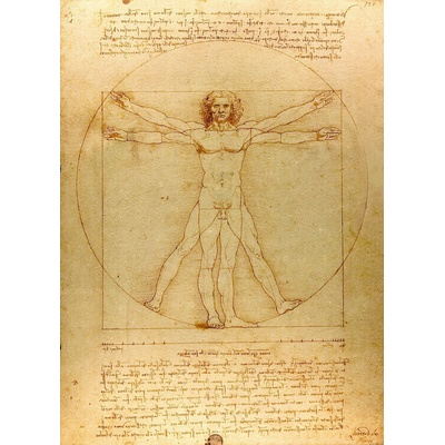 Plagát, Obraz - Vitruviánsky človek, Leonardo Da Vinci, 61 × 91.5 cm