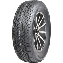 Royal Black Royal Winter HP 205/55 R16 91H