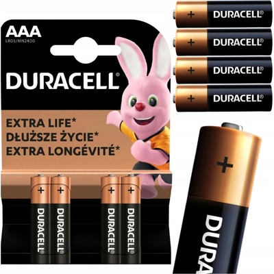 Duracell Basic AAA 4ks 10PP100005