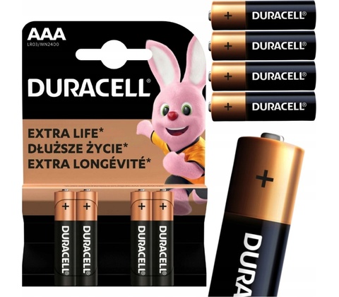 Duracell Basic AAA 4ks 10PP100005