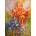 Enjoy - Puzzle Explosion of Emotion - 1 000 piese