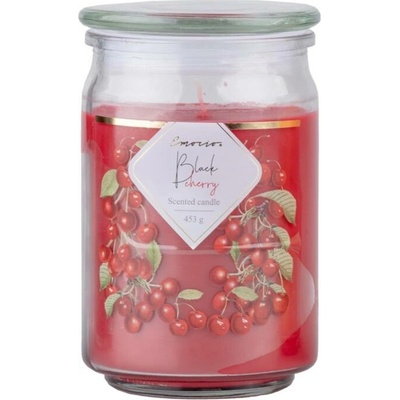 Sconto HAYES black cherry 453 g
