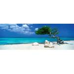 Heye - Puzzle Humboldt: Divi Divi Tree - 1 000 piese