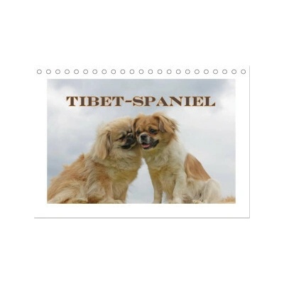 Tibet Spaniel Tisch DIN A5 quer CALVENDO Monats 2026