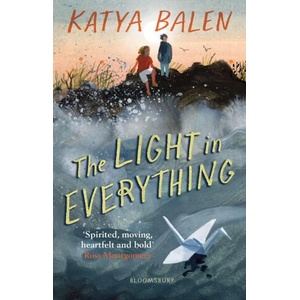 The Light in Everything (ISBN: 9781526622983)