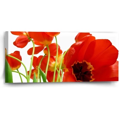 Sablio Obraz Tulipány - 110x50 cm