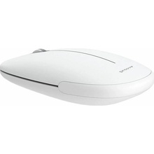Proove Ramp WNRM00022002