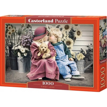 Castorland První láska 1000 dílků