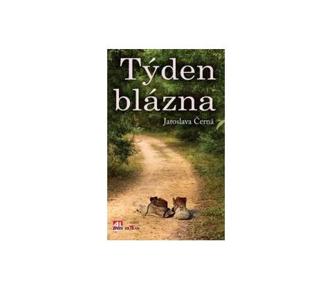 Týden blázna