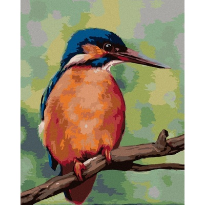 zuty Malování Podle Čísel Ledňáček Myroslava Voloschuk 40 x 50 Cm Plátno Rám 8596530224372