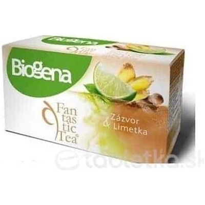 Biogena Fantastic Tea Zázvor & Limetka ovocný čaj 20 x 2 g