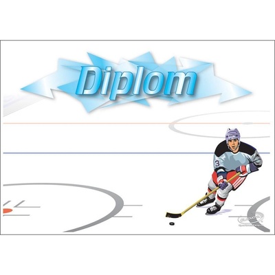 DH03b Diplom hokej