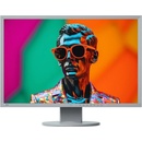 Eizo FlexScan EV2436W