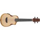 Ibanez AUC10E-OPN