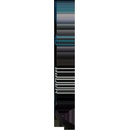 Bauer Nexus Performance JR