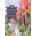 Magnolia - Puzzle WAW - China - 1 000 piese