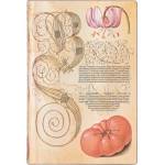Paperblanks Тефтер Lily Tomato, Mini, широки редове, мека корица, 104 листа (FB9350-3)