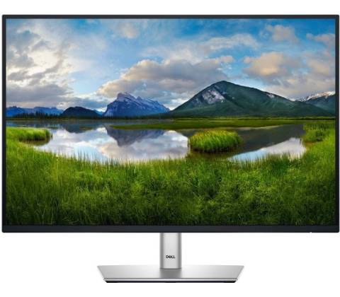 Dell P2425E